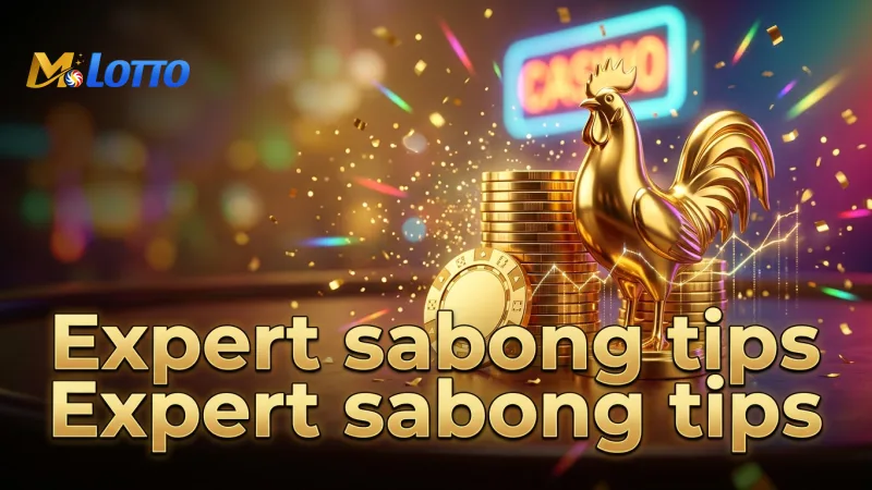 apply-expert-sabong-tips-for-smarter-play-every-time